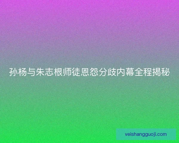 孙杨与朱志根师徒恩怨分歧内幕全程揭秘